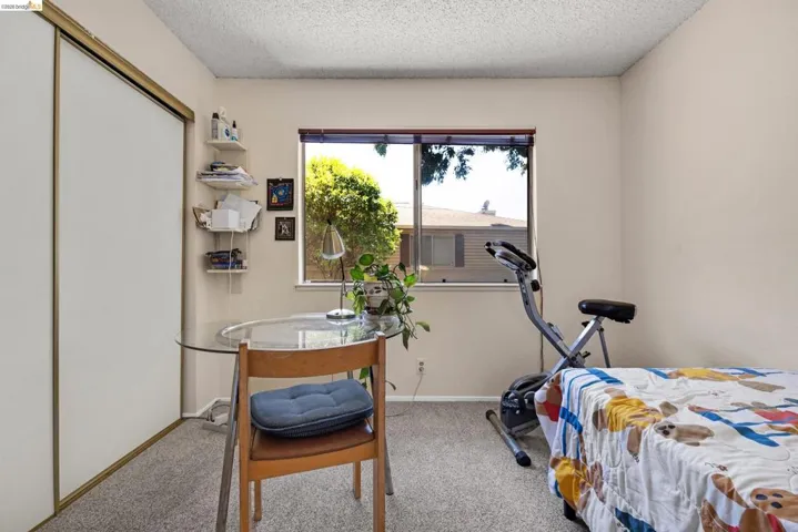 Carpeted room featuring a window with exterior views, light-colored walls, and a sliding door closet