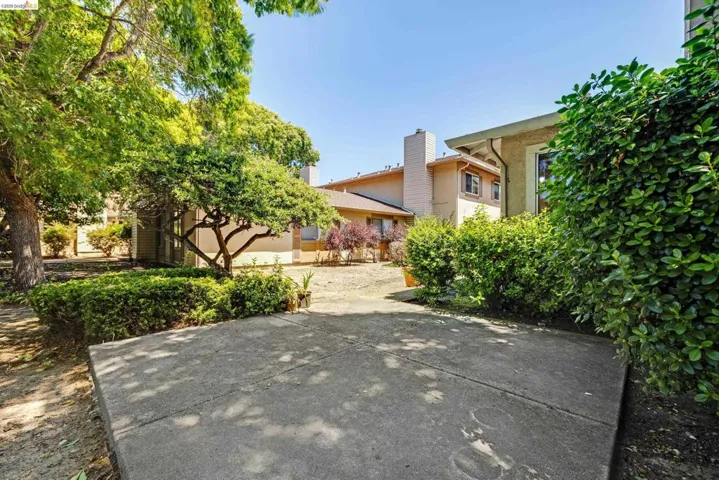 Concrete patio surface framed by mature landscaping and established shrubbery