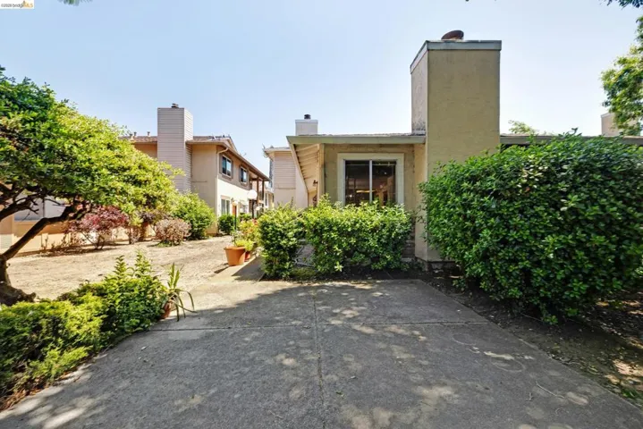 Concrete patio area with privacy shrubs and mature trees