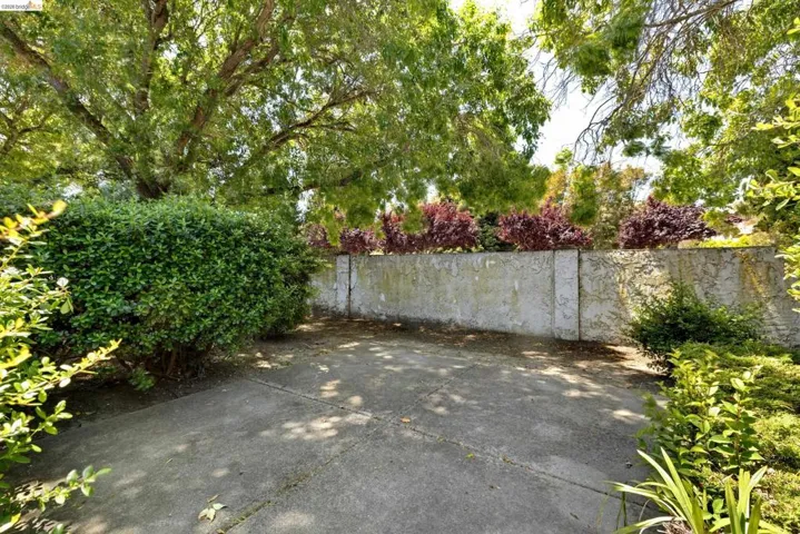 Concrete patio area featuring mature trees, established shrubs, and a stucco retaining wall with decorative plantings