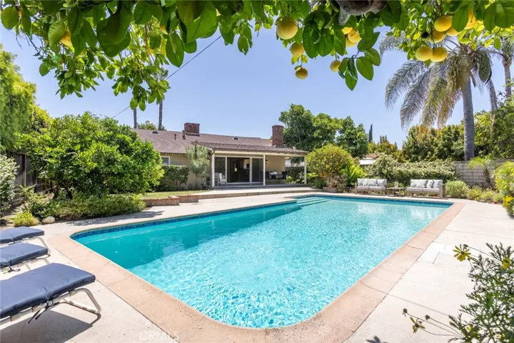 Big Pool - Big Backyard