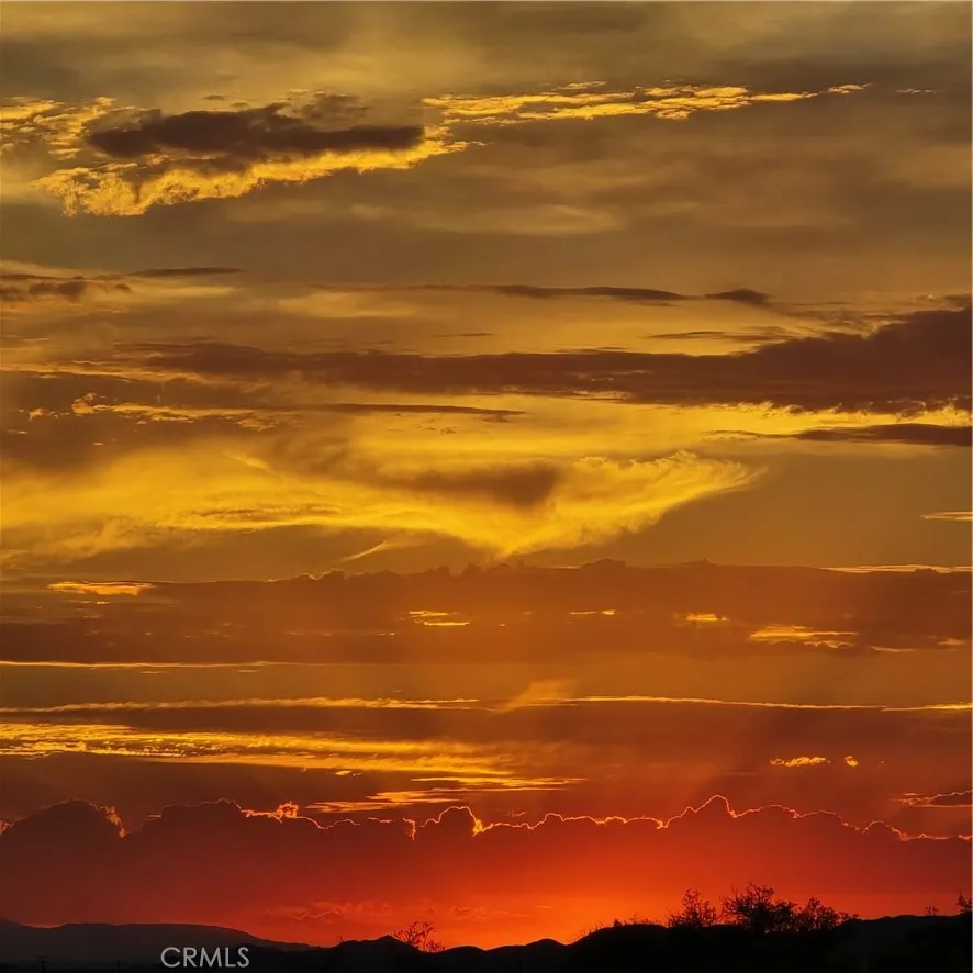 Wonder Valley Sunset