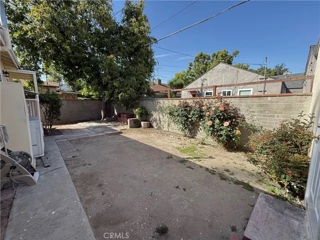 Back yard