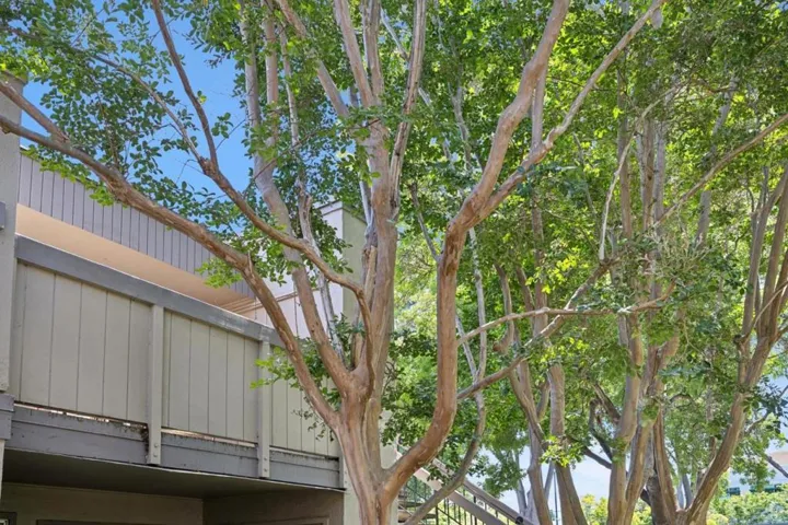 801 California Avenue F, Sunnyvale, California 94086