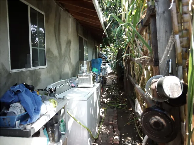 Side yard with bamboo privacy barrier.