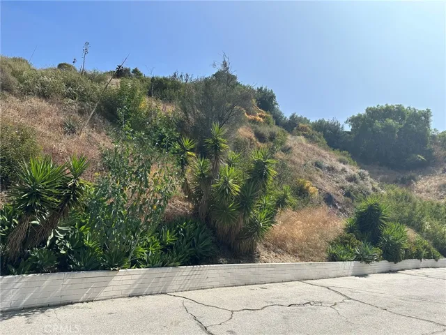 0 Loma Vista Street, Glendale, California 91208