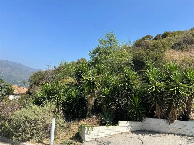 0 Loma Vista Street, Glendale, California 91208
