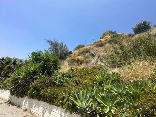 0 Loma Vista Street, Glendale, California 91208