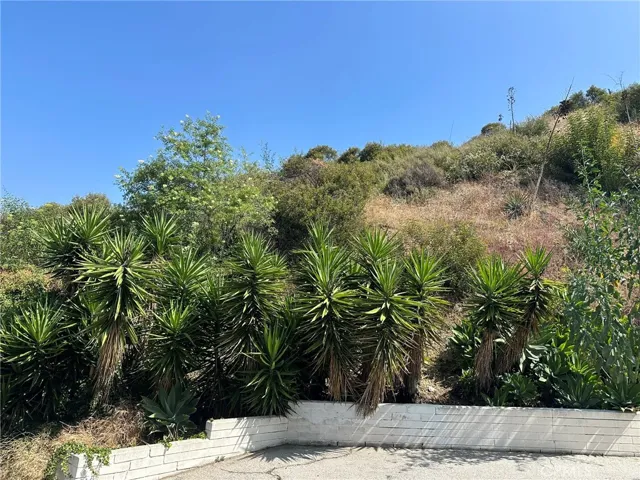 0 Loma Vista Street, Glendale, California 91208