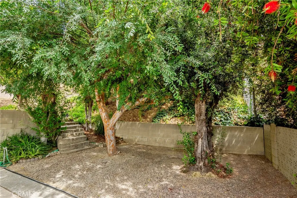 Serene patio trees