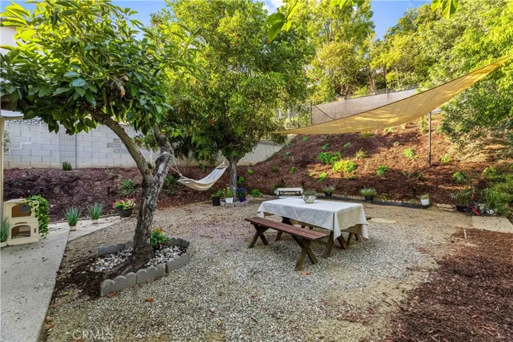 Canopy back yard terrace