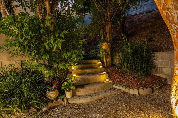 Evening oasis back yard