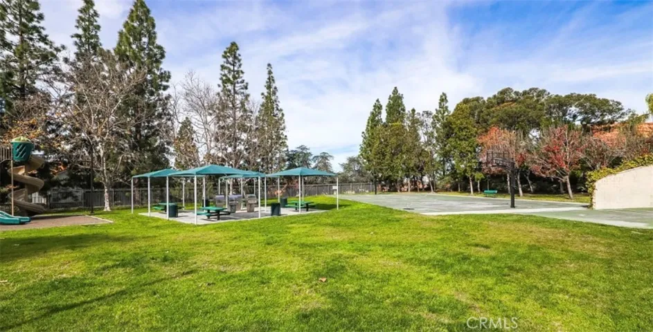 Community Park