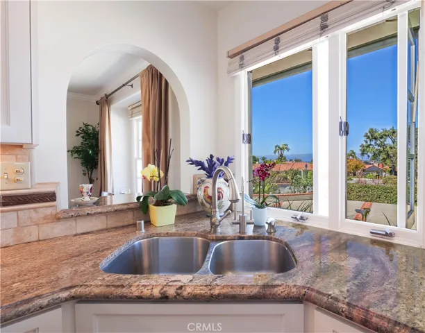 Kitchen Sink and View