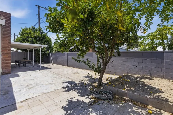 Mature fruit tree and block wall fencing