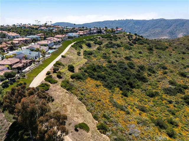 29412 Christiana Way, Laguna Niguel, California 92677