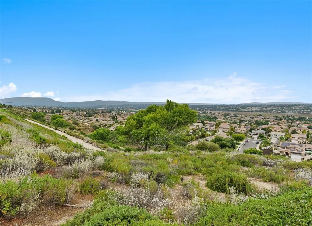 West Facing Views.