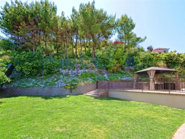 Lower Level Backyard