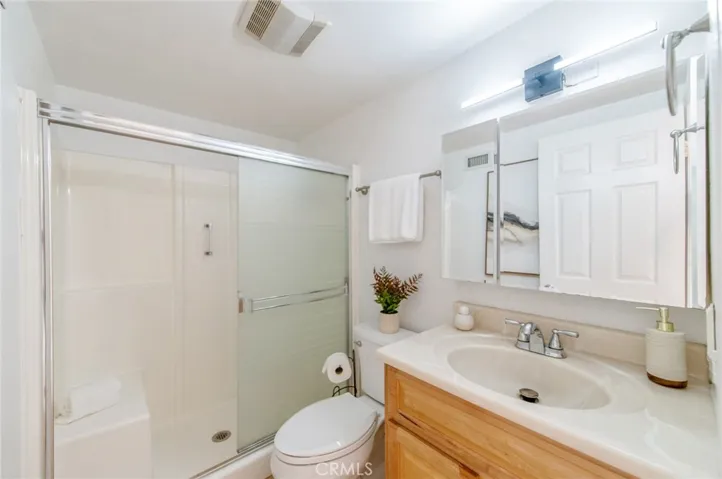 Bathroom Downstairs - walk in shower