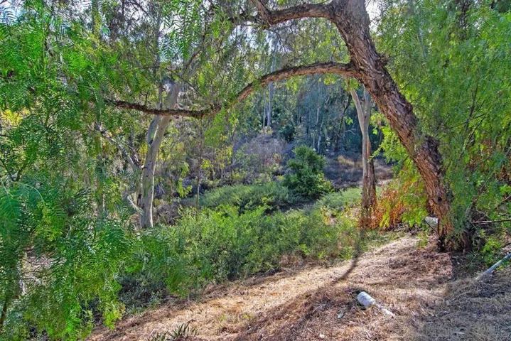 5959 El Escorial Way, San Diego, California 92124