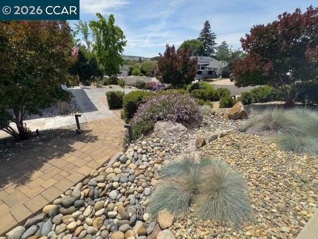 Attractive Yet Low Maintenance Yards