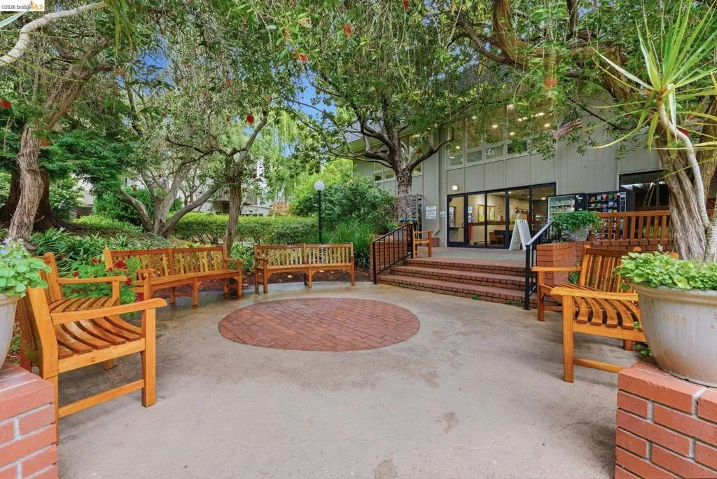 Outdoor patio area featuring a central brick circle, concrete paving, and multiple wooden benches