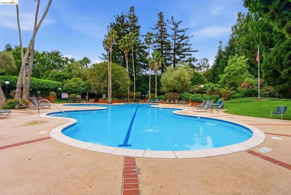 Inviting freeform swimming pool with integrated spa
