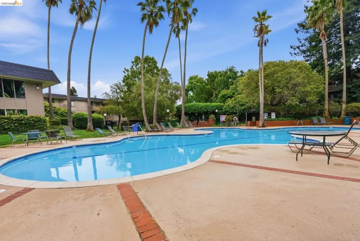 Expansive outdoor swimming pool with a freeform design, surrounded by a concrete deck with brick accents