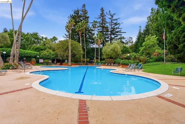 Inviting freeform swimming pool with integrated spa
