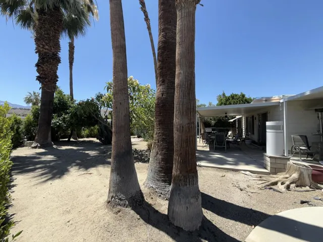 Front Patio & large lot