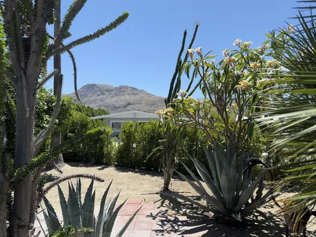 Large corner lot