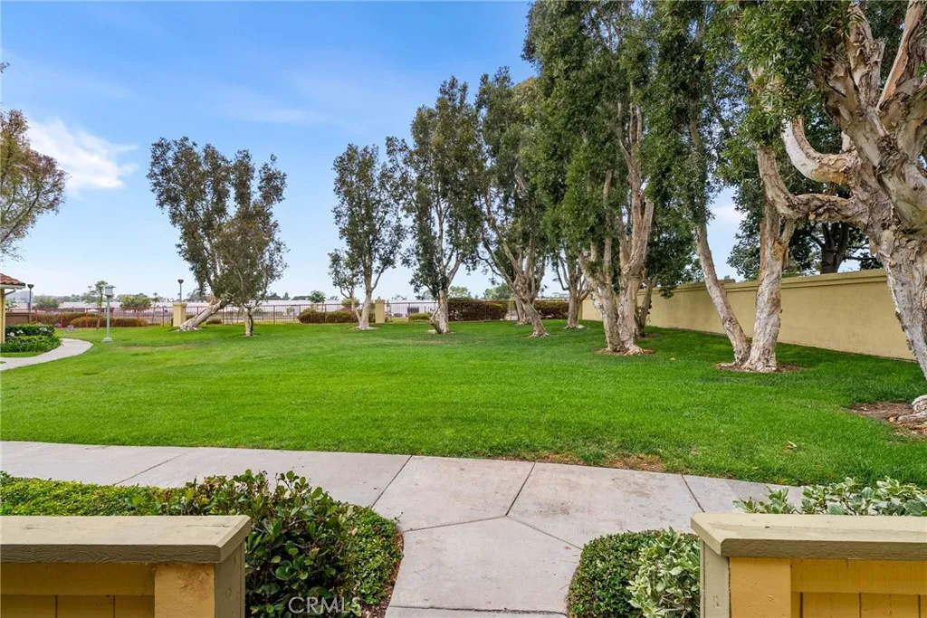 patio view