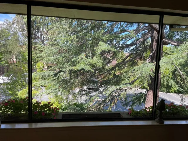 2140 Santa Cruz Avenue 203, Menlo Park, California 94025