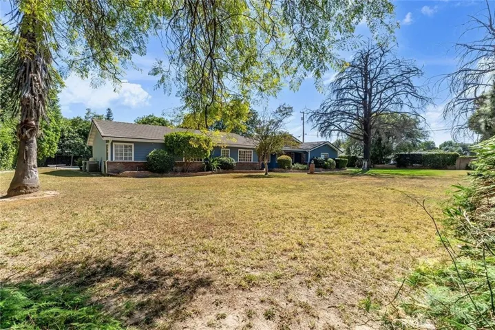 Front Yard