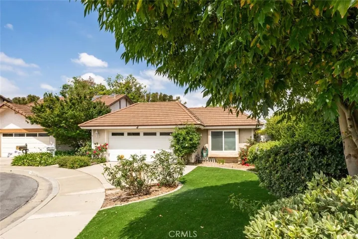 Oversized low maintenance front yard