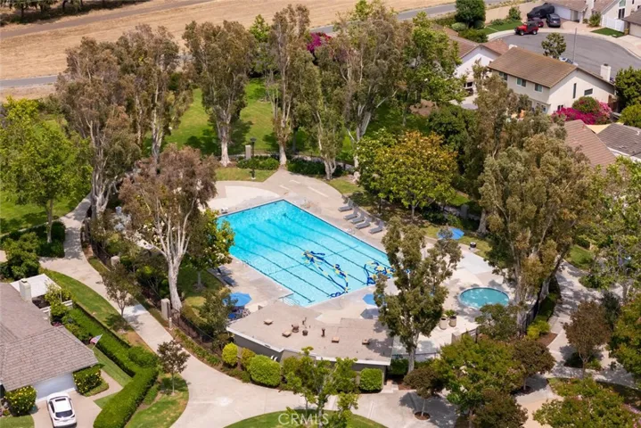 Junior Olympic pool directly behind the home.