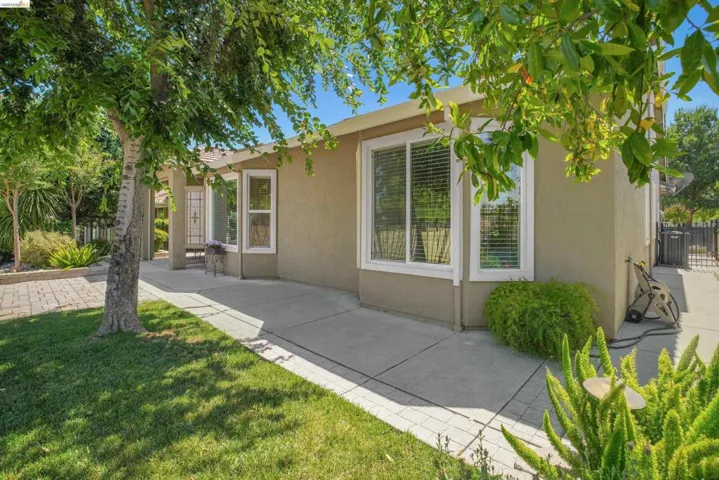 Tan stucco exterior featuring multiple white-framed windows with blinds, a concrete pathway, a grassy lawn area, mature trees, and a decorative security gate