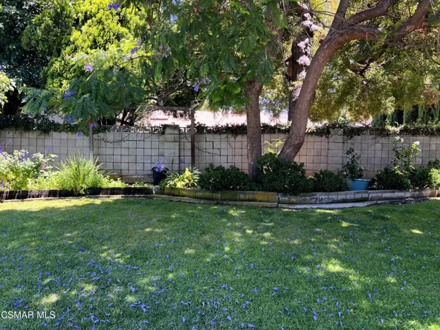 Backyard Lawn
