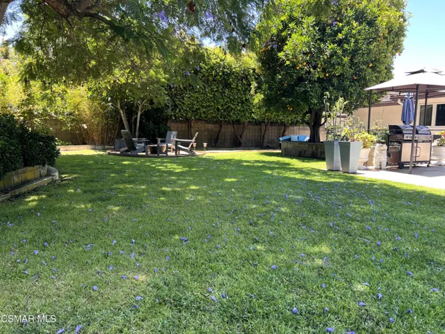 Back yard