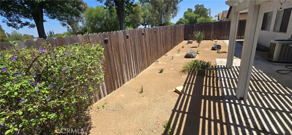 Backyard_2