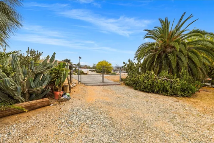 Very iconic catus garden from the back entrance
