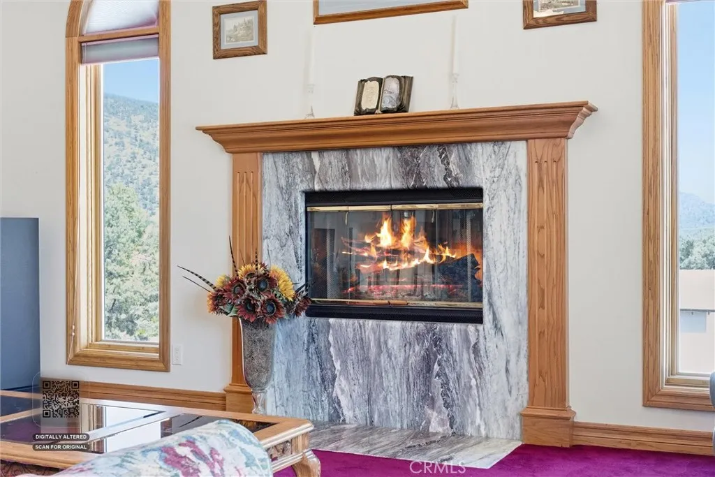 Gas and wood burning fireplace