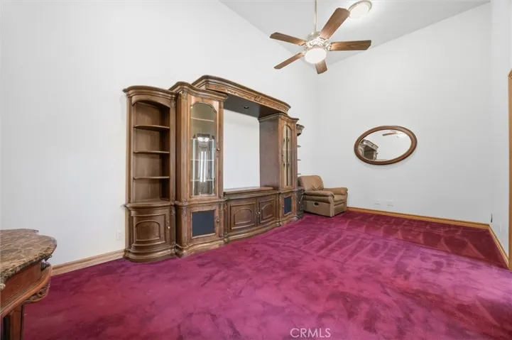 Downstairs bonus room