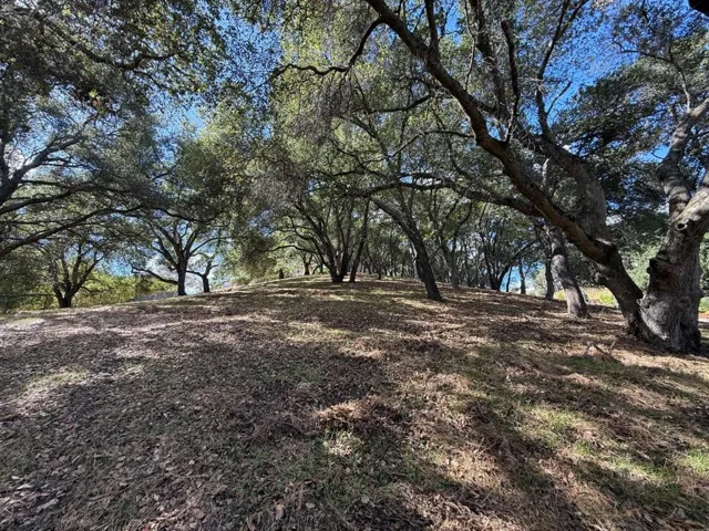 1920 Mantelli Drive, Gilroy, California 95020