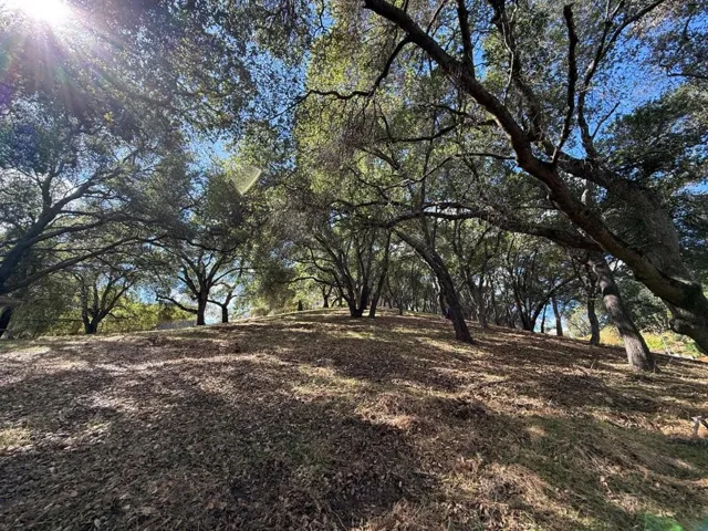 1920 Mantelli Drive, Gilroy, California 95020