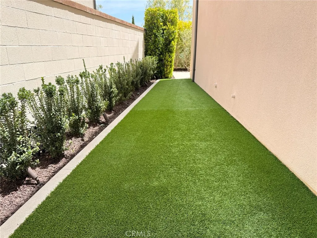 Side Yard