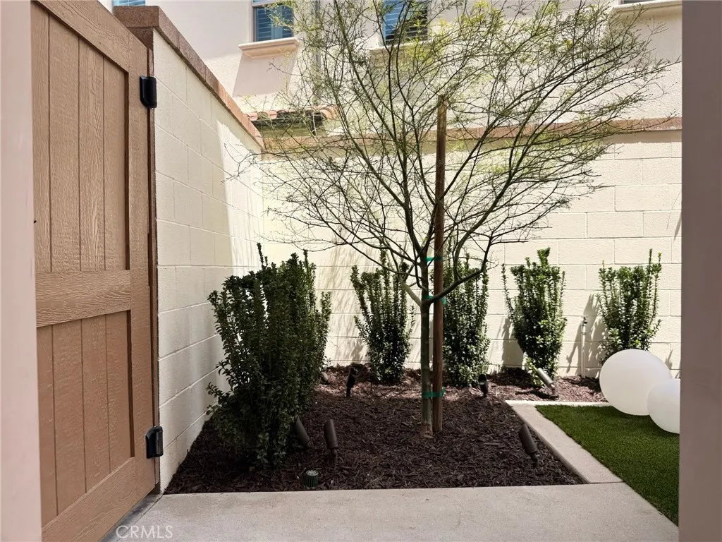 Side Yard