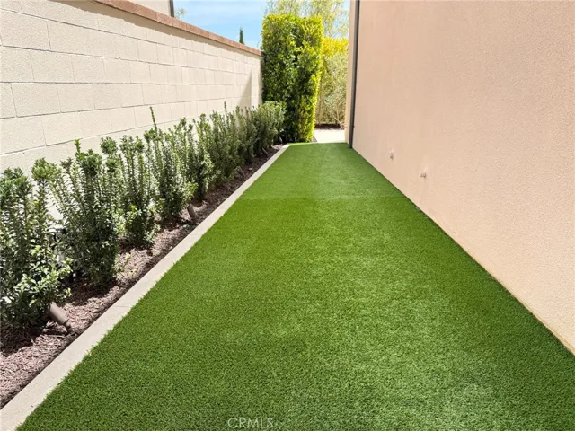 Side Yard