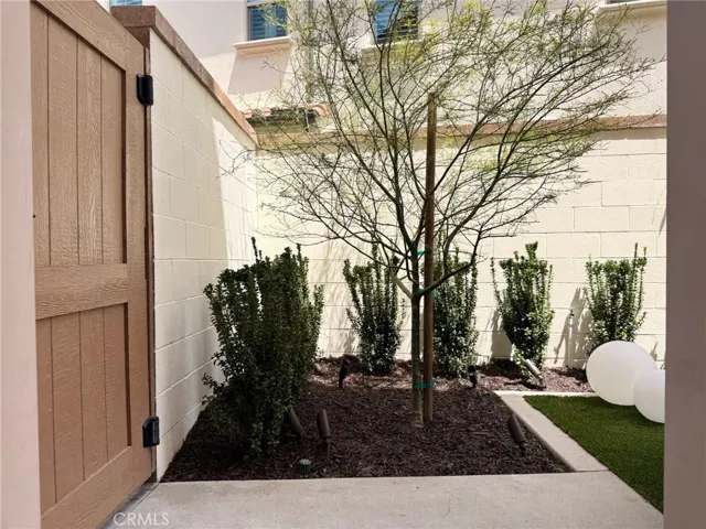Side Yard