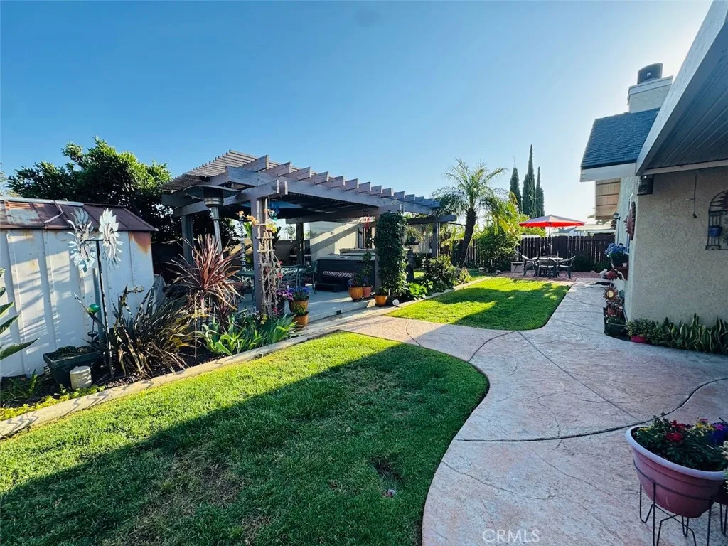back yard